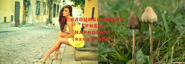 СК Костерёво