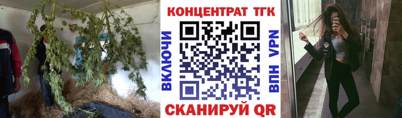 Дистиллят ТГК Wax  Купить закладки  Октябрьский